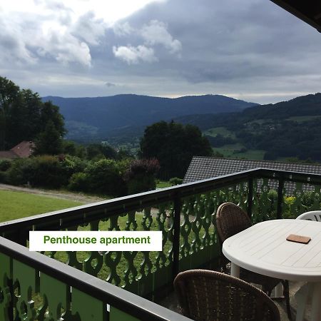 Le Green Chalet Villard-sur-Boege Eksteriør bilde