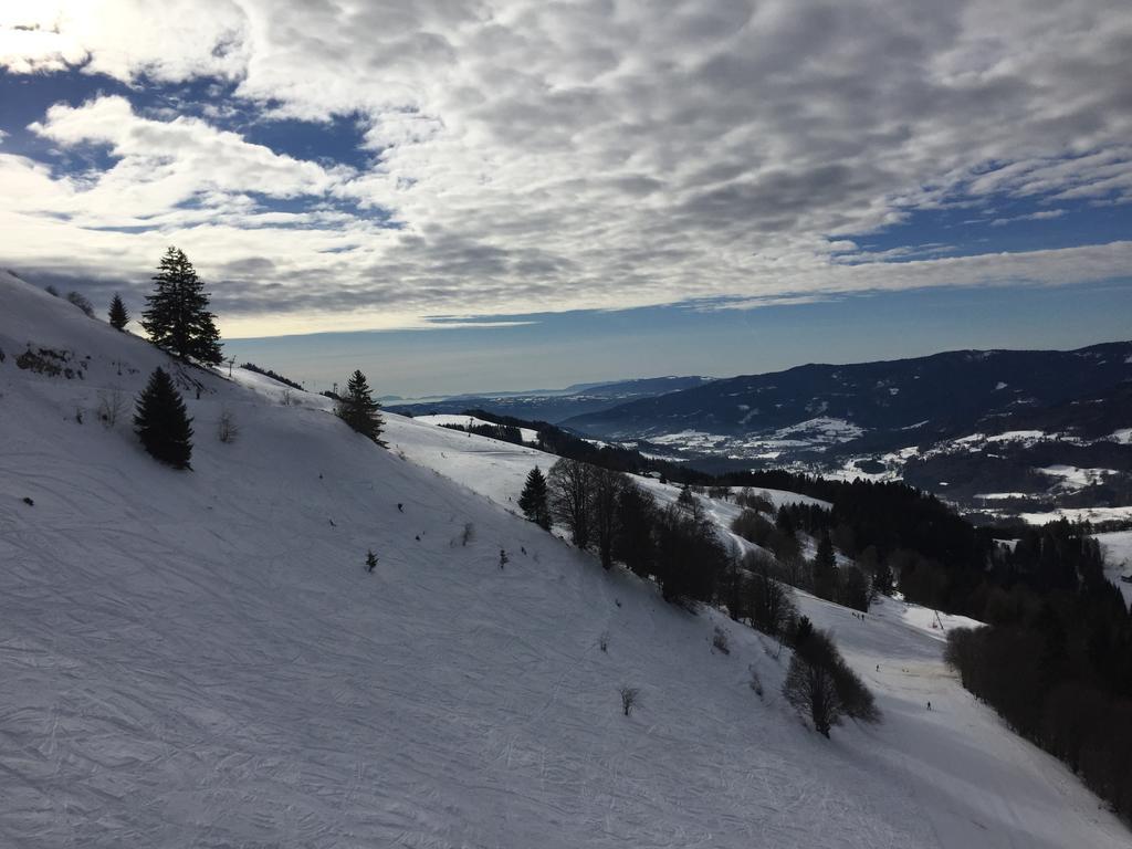 Le Green Chalet Villard-sur-Boege Eksteriør bilde