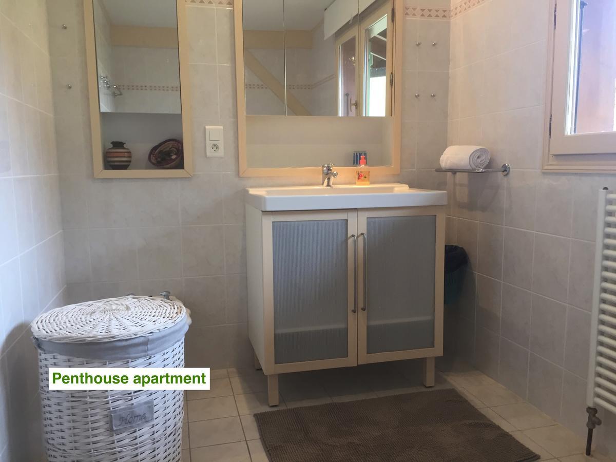 Le Green Chalet Villard-sur-Boege Eksteriør bilde