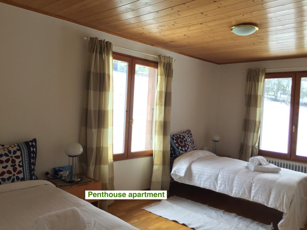 Le Green Chalet Villard-sur-Boege Eksteriør bilde