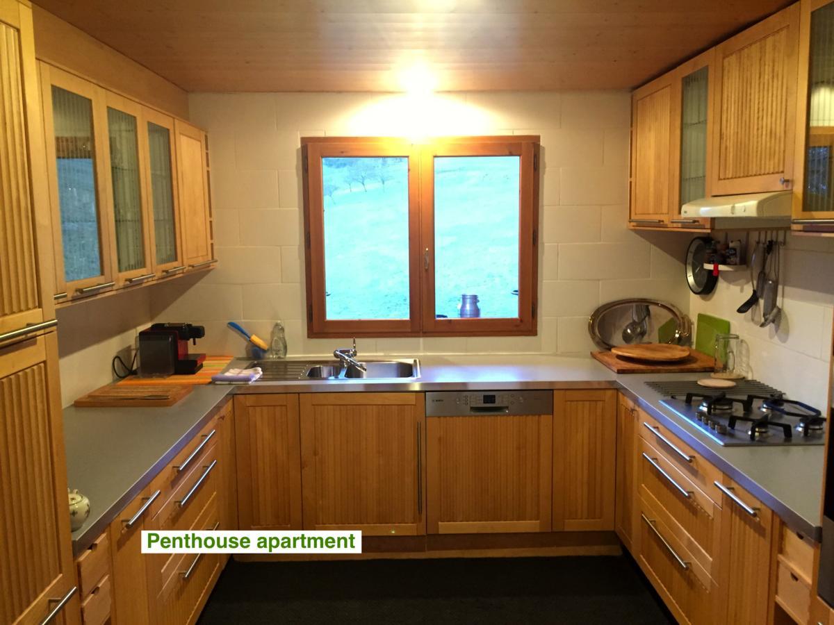 Le Green Chalet Villard-sur-Boege Eksteriør bilde