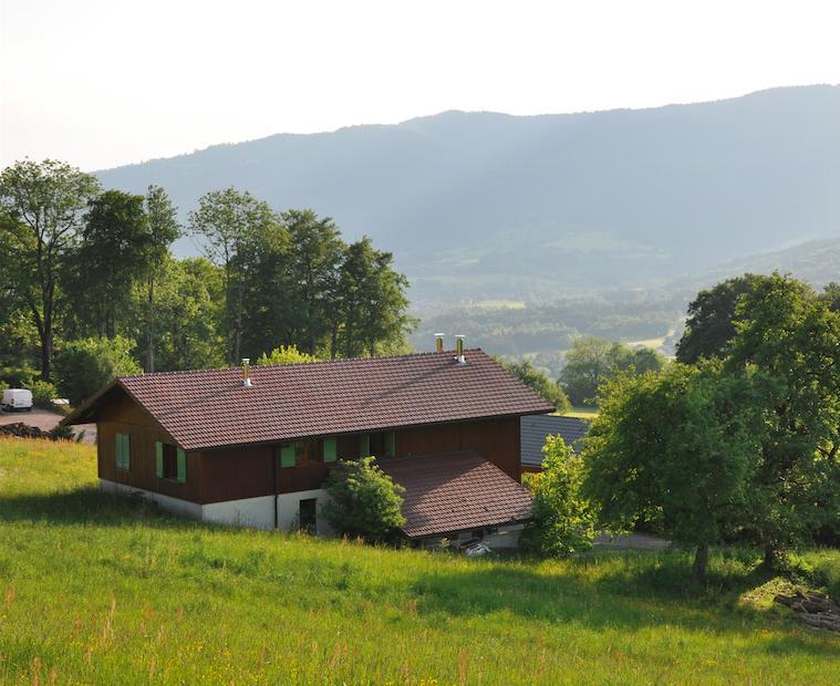 Le Green Chalet Villard-sur-Boege Eksteriør bilde