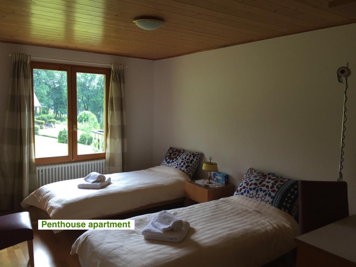 Le Green Chalet Villard-sur-Boege Eksteriør bilde