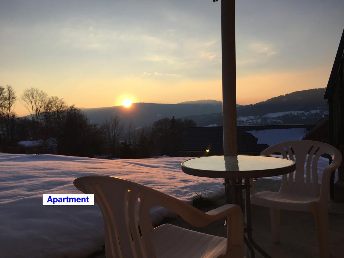 Le Green Chalet Villard-sur-Boege Eksteriør bilde
