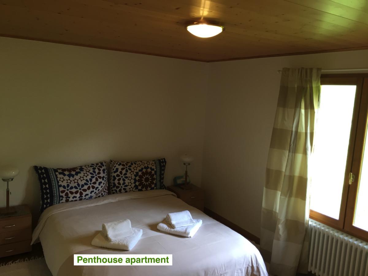 Le Green Chalet Villard-sur-Boege Eksteriør bilde