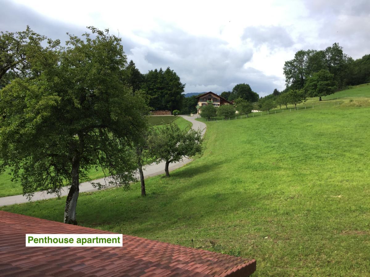 Le Green Chalet Villard-sur-Boege Eksteriør bilde