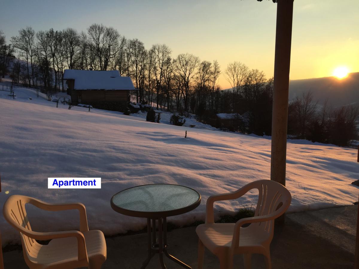 Le Green Chalet Villard-sur-Boege Eksteriør bilde